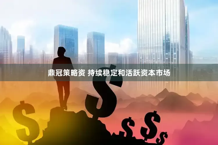 鼎冠策略资 持续稳定和活跃资本市场