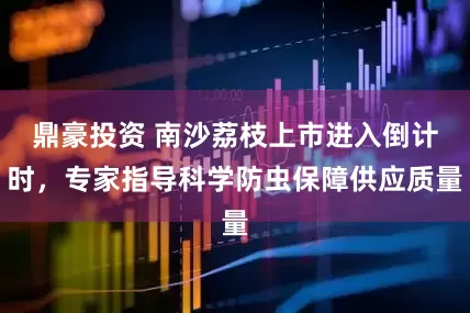 鼎豪投资 南沙荔枝上市进入倒计时，专家指导科学防虫保障供应质量
